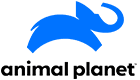 animal-planet-network-logo