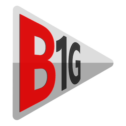 com.nathnetwork.b1gplayerone--916-icon